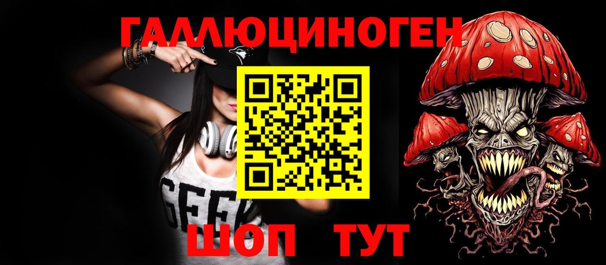 купить наркотики сайты  Вход с VPN  Тында  Галлюциногенные грибы Psilocybe 